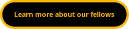 button_learn-more-about-our-fellows.png